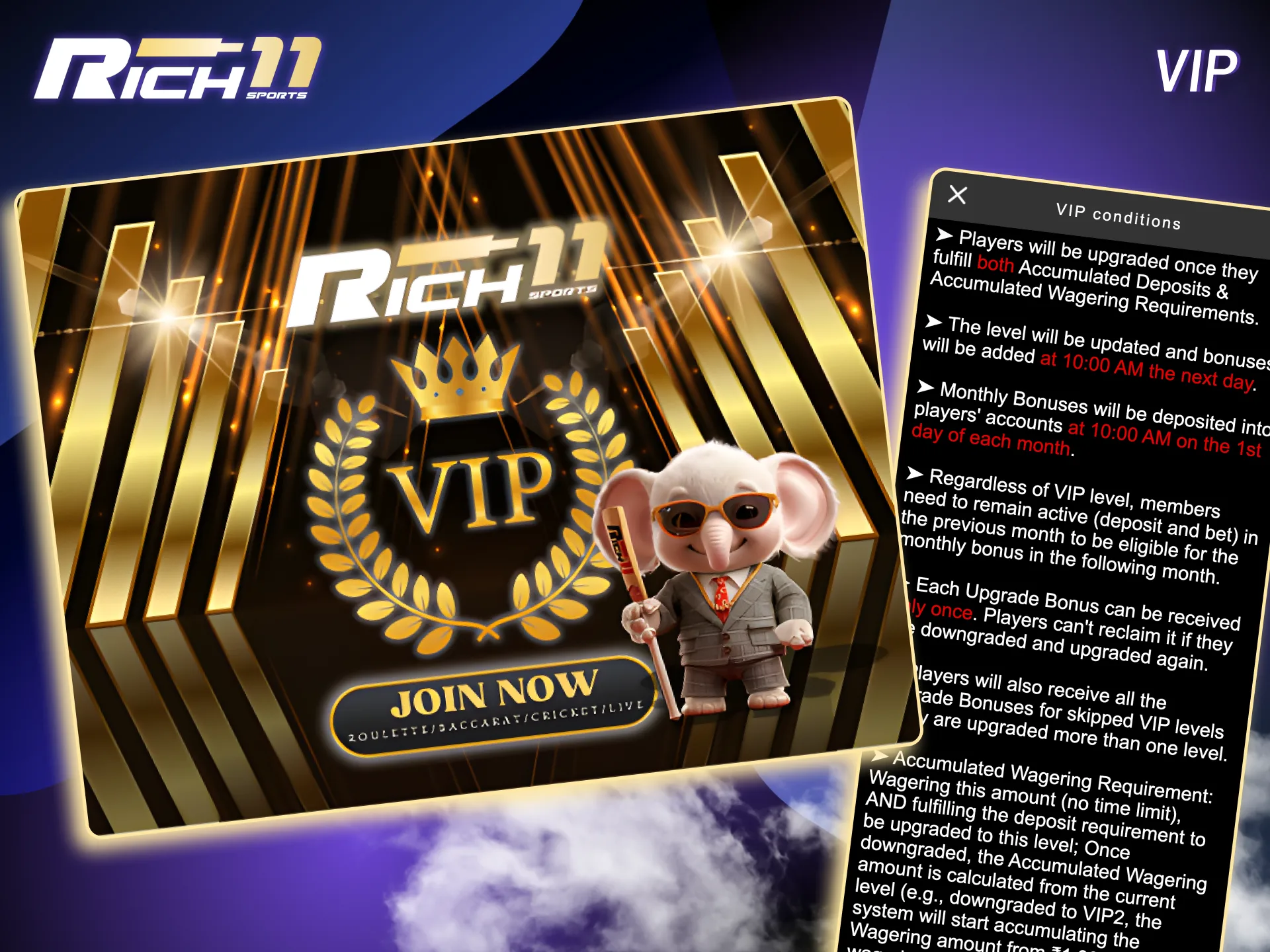 Rich11 rewards loyal players with tiered VIP perks and special bonuses.